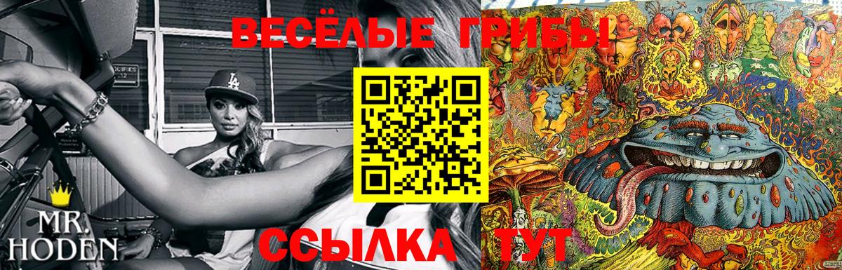Галлюциногенные грибы прущие грибы  Вход с VPN  Чебаркуль 